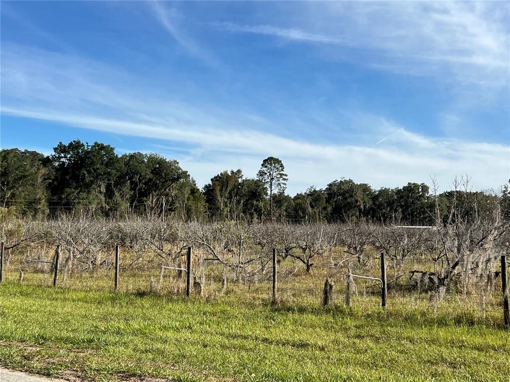 18250 Ravenswood Road Altoona, FL 32702 - Photo 3 of 41