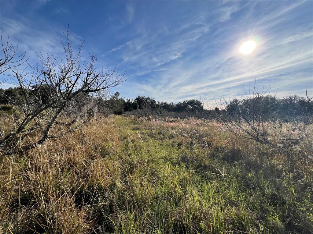 18250 Ravenswood Road Altoona, FL 32702 - Photo 31 of 41