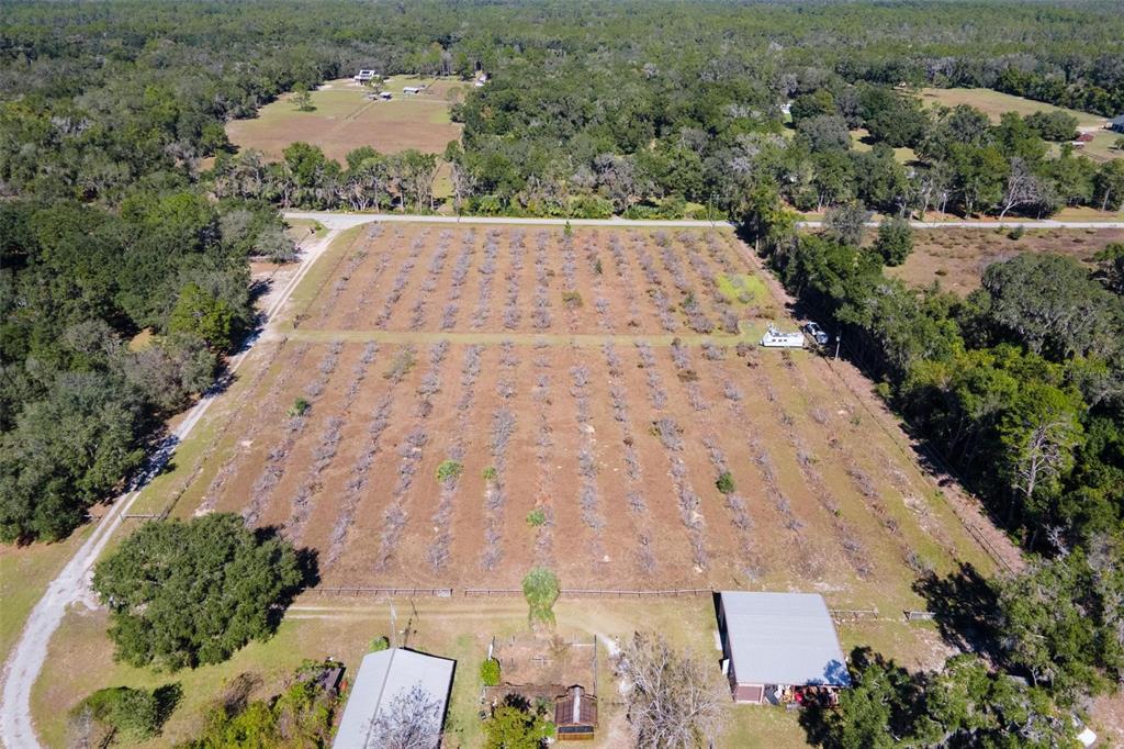 18250 Ravenswood Road Altoona, FL 32702 - Photo 36 of 41