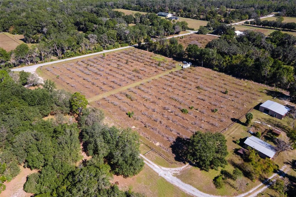 18250 Ravenswood Road Altoona, FL 32702 - Photo 37 of 41