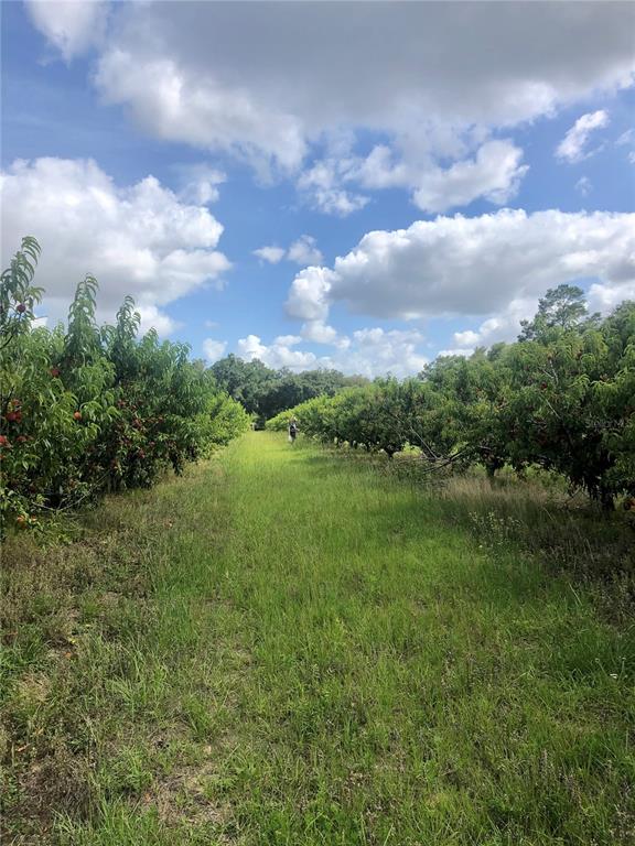 18250 Ravenswood Road Altoona, FL 32702 - Photo 40 of 41