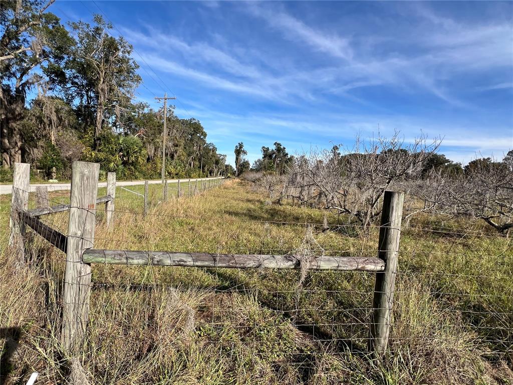 18250 Ravenswood Road Altoona, FL 32702 - Photo 8 of 41