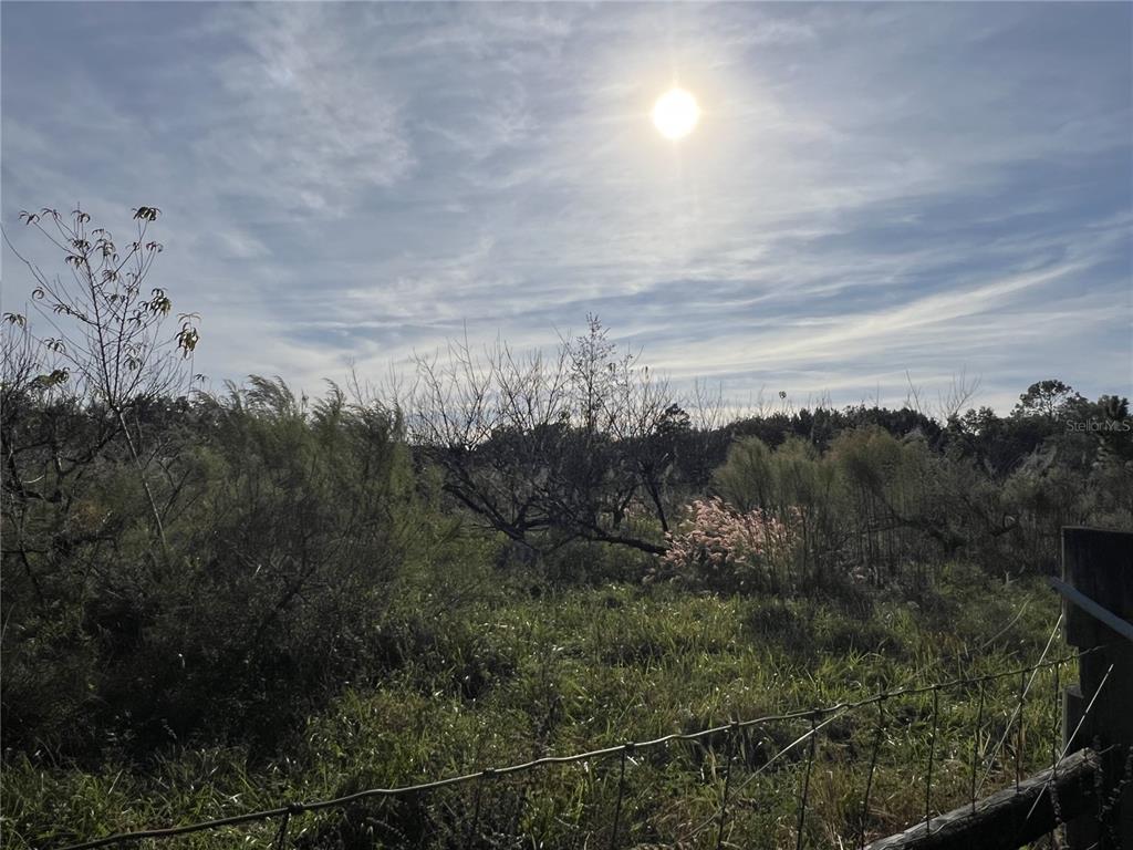 18250 Ravenswood Road Altoona, FL 32702 - Photo 9 of 41