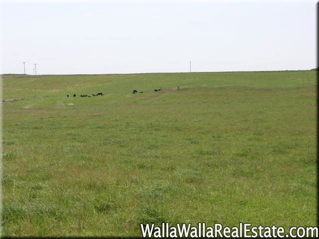 0 Frog Hollow Road Walla Walla, WA 99362 - Photo 1 of 1