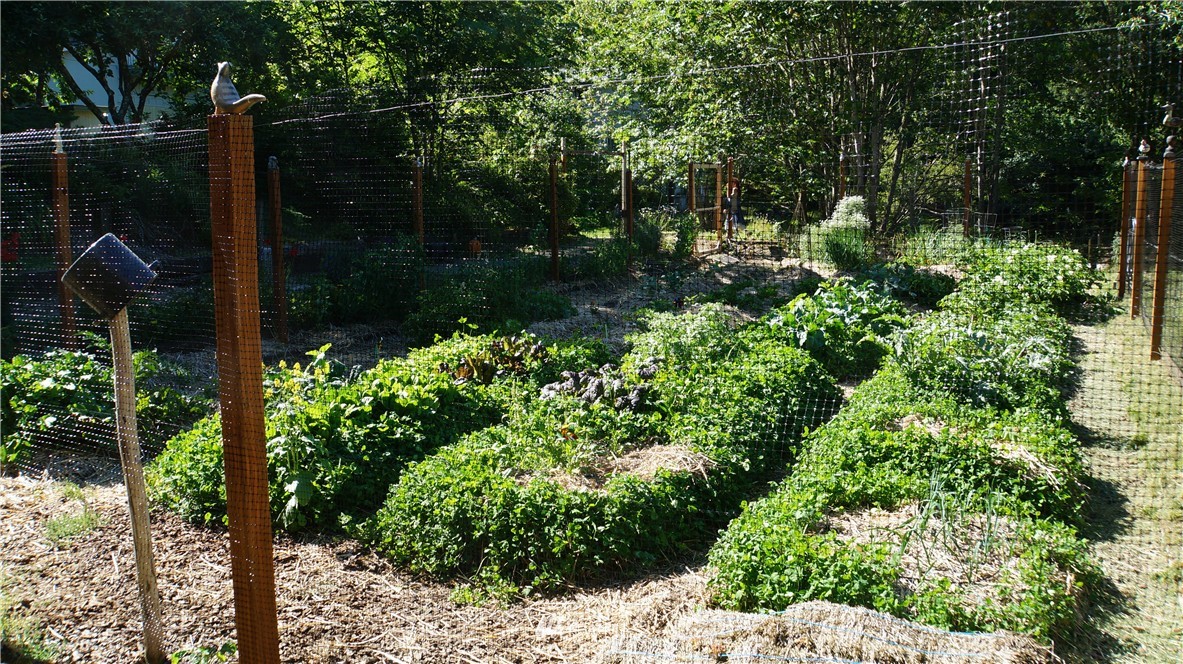 6217 Lackey Road Northwest Vaughn, WA 98394 - Photo 4 of 25