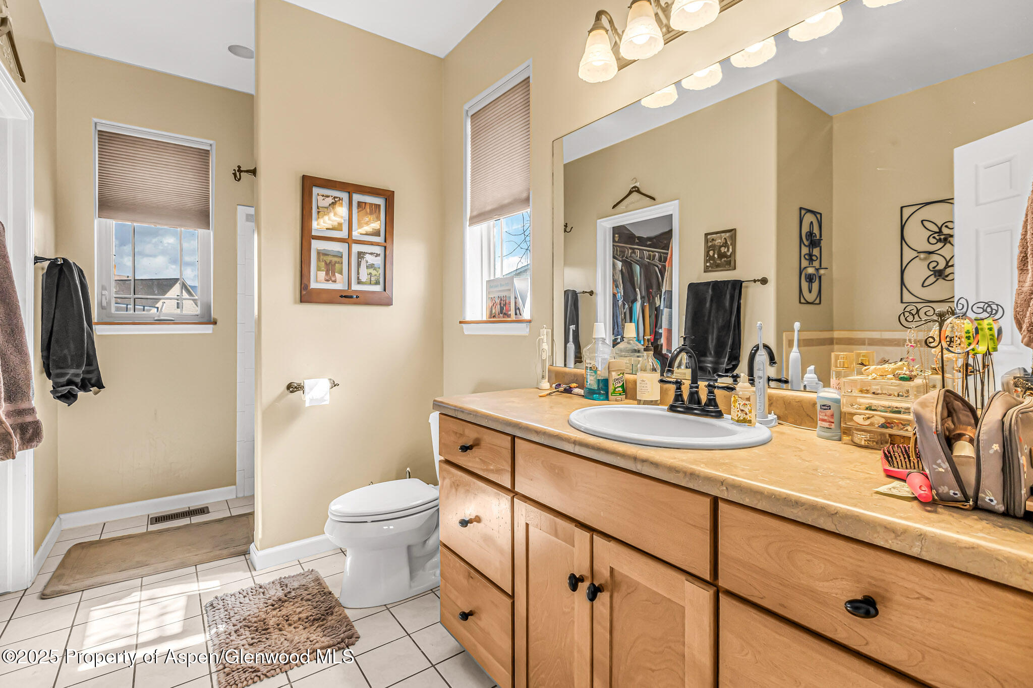 1357 West Spruce Court Rifle, CO 81650 - Photo 17 of 38 a bathroom with a sink a toilet and a mirror