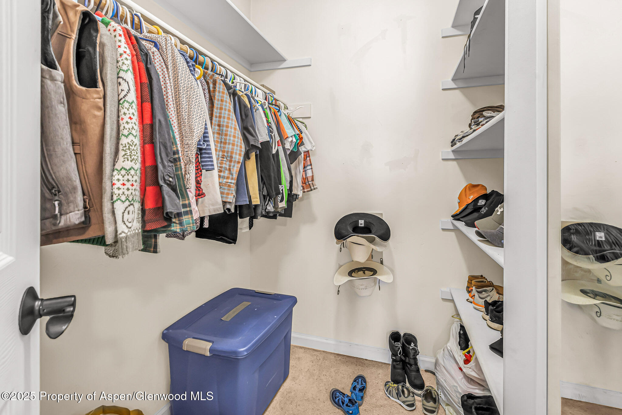 1357 West Spruce Court Rifle, CO 81650 - Photo 23 of 38 a view of walk in closet with clothes and shoes