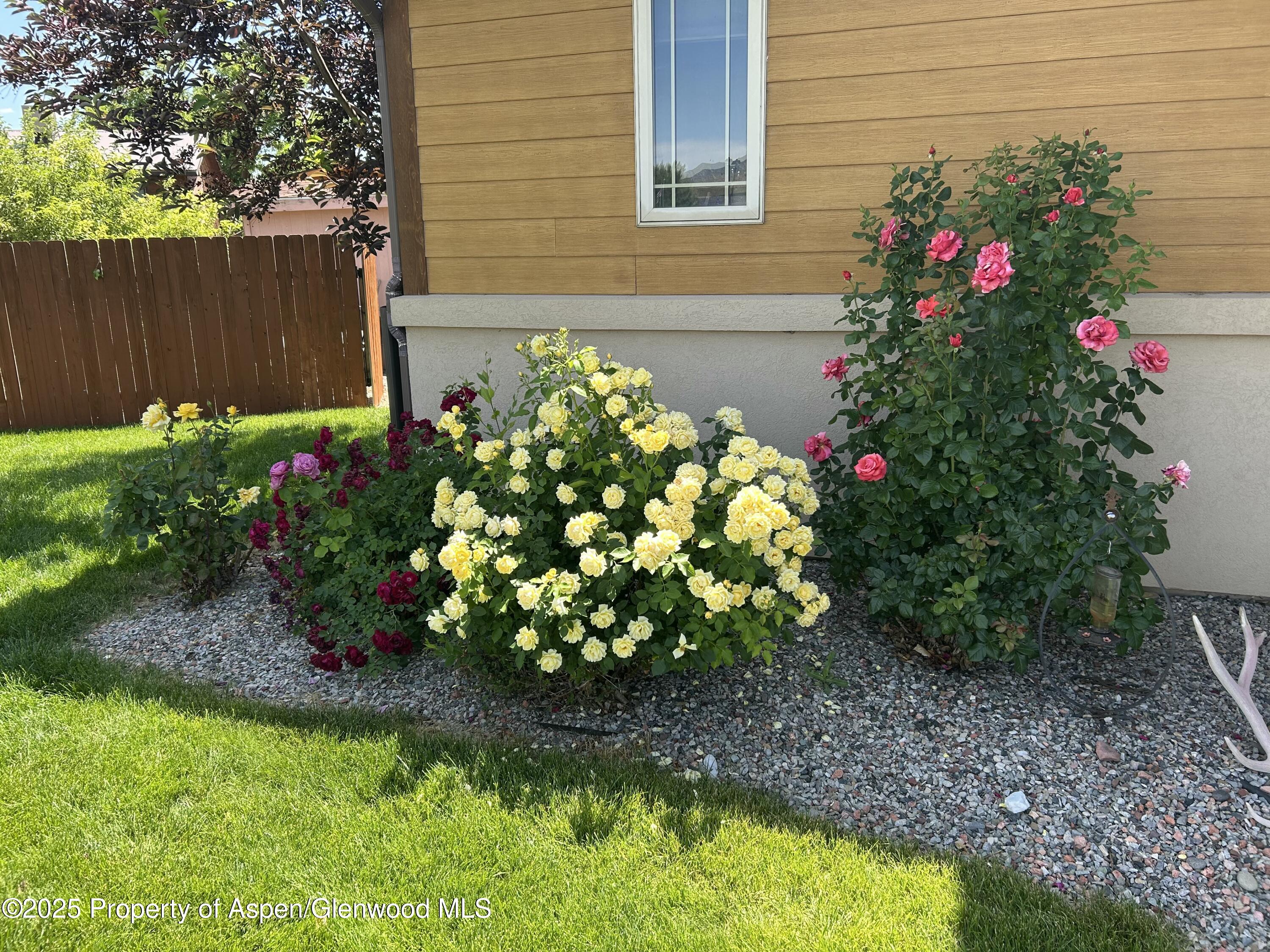 1357 West Spruce Court Rifle, CO 81650 - Photo 4 of 38 a bunch of flowers in front of yellow house