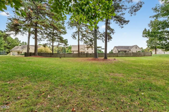 a view of a park with large trees