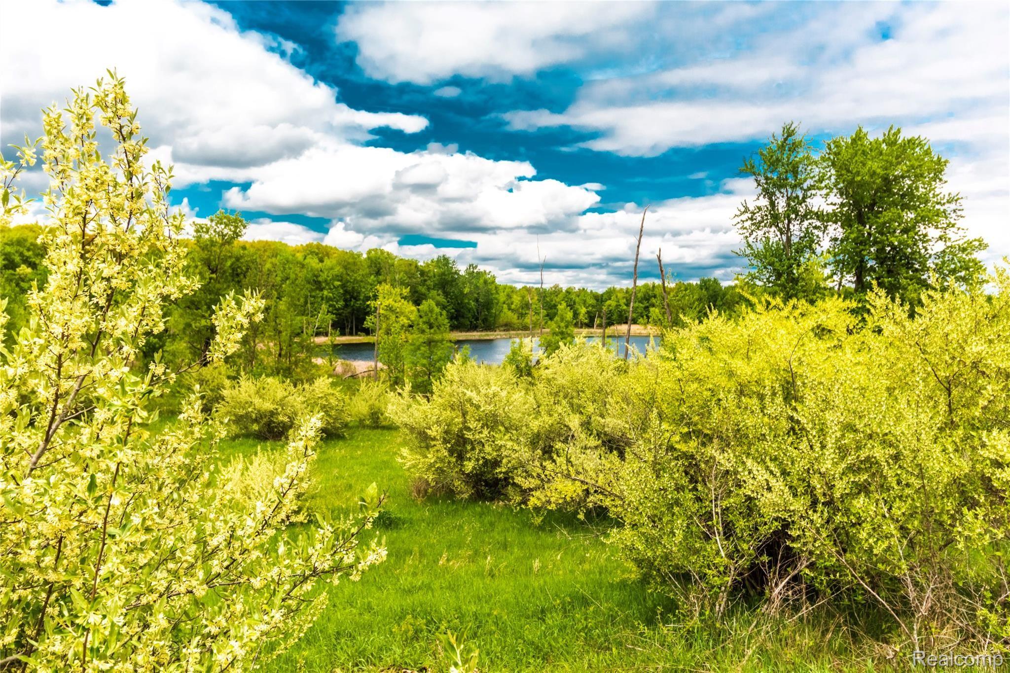 4146 Mitchell Road Lapeer, MI 48446 - Photo 60 of 65 Lake View.jpg
