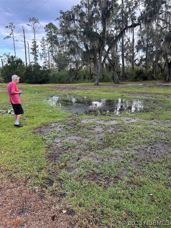 111 Lewis Street Edgewater, FL 32141 - Photo 3 of 11