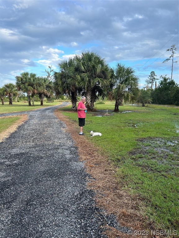 111 Lewis Street Edgewater, FL 32141 - Photo 4 of 11 a view of a park with large trees