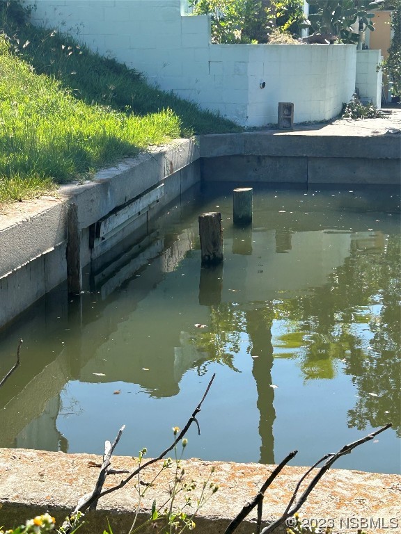 111 Lewis Street Edgewater, FL 32141 - Photo 10 of 11 a view of swimming pool from a lake