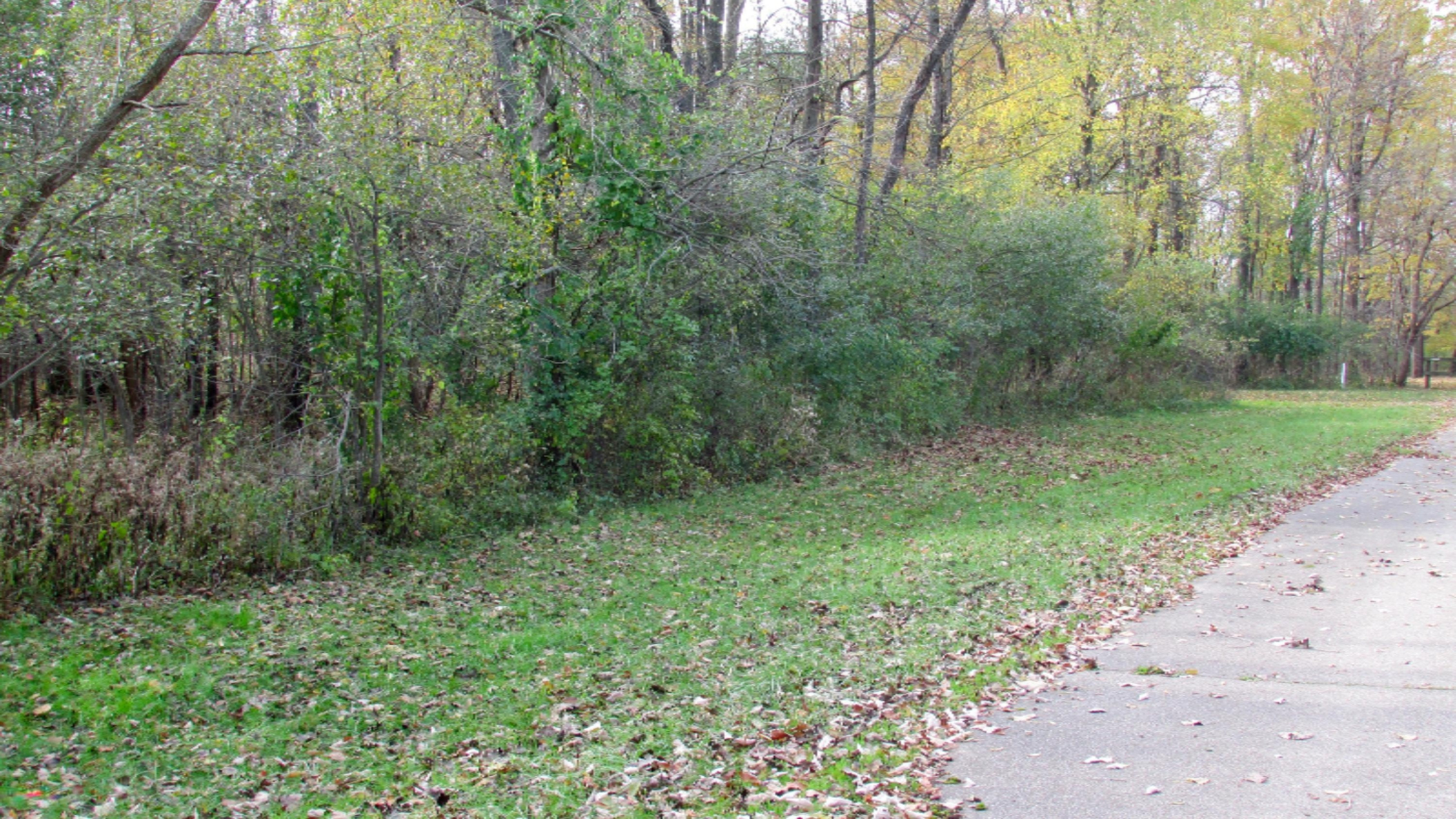 6390 Cascade Road Southeast Grand Rapids, MI 49546 - Photo 3 of 4 IMG_0593