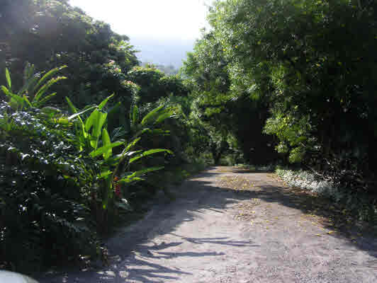 1 B Old Government Road Captain Cook, HI 96704 - Photo 4 of 10 Gallery Image 4