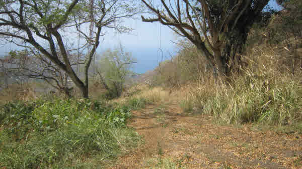 1 B Old Government Road Captain Cook, HI 96704 - Photo 5 of 10 Gallery Image 5