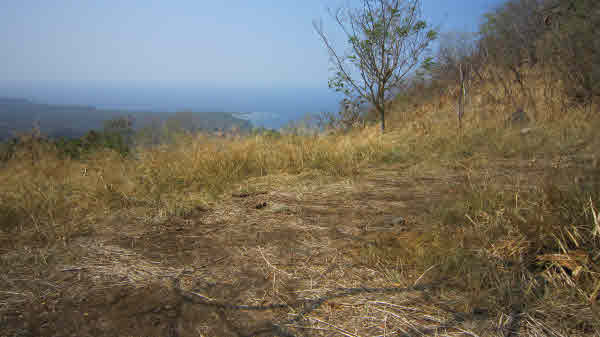 1 B Old Government Road Captain Cook, HI 96704 - Photo 6 of 10 Gallery Image 6