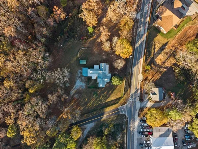 a view of a city with flower plants