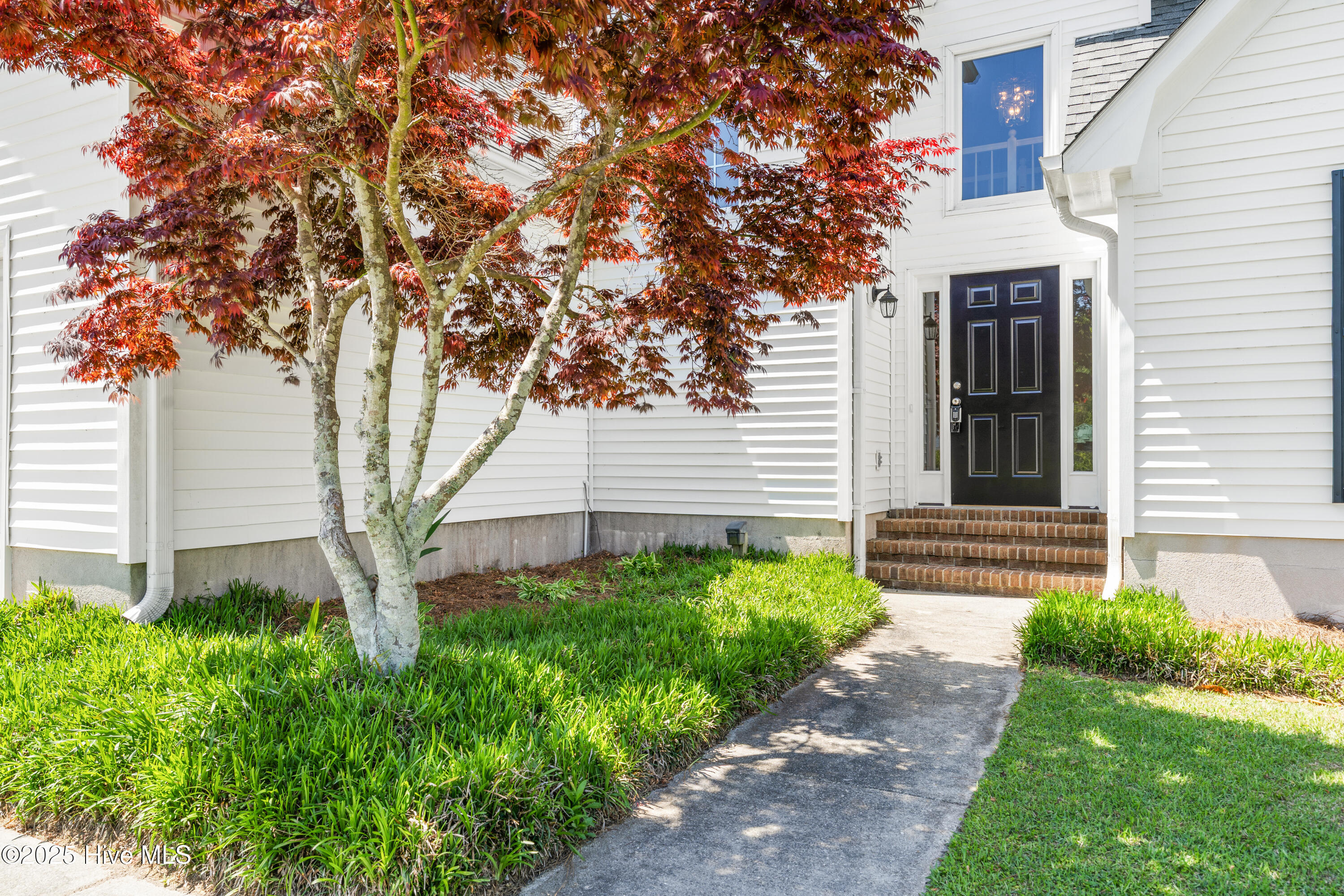 629 North Hampton Road Wilmington, NC 28409 - Photo 5 of 56 629HamptonRdWilmington-4