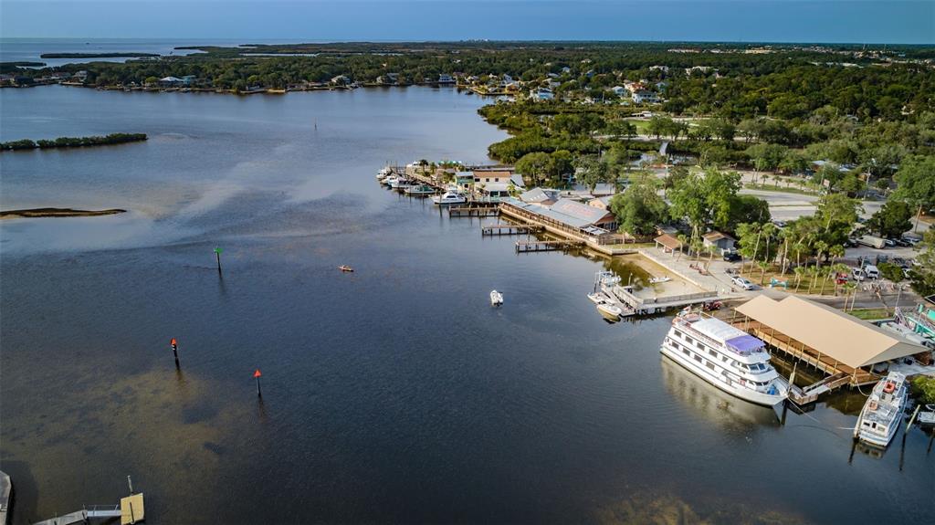 5433 Bluepoint Drive Port Richey, FL 34668 - Photo 33 of 50 an aerial view of a residential houses with outdoor space