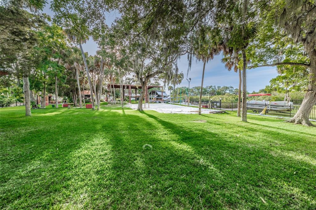 5433 Bluepoint Drive Port Richey, FL 34668 - Photo 46 of 50 a view of a park with large trees