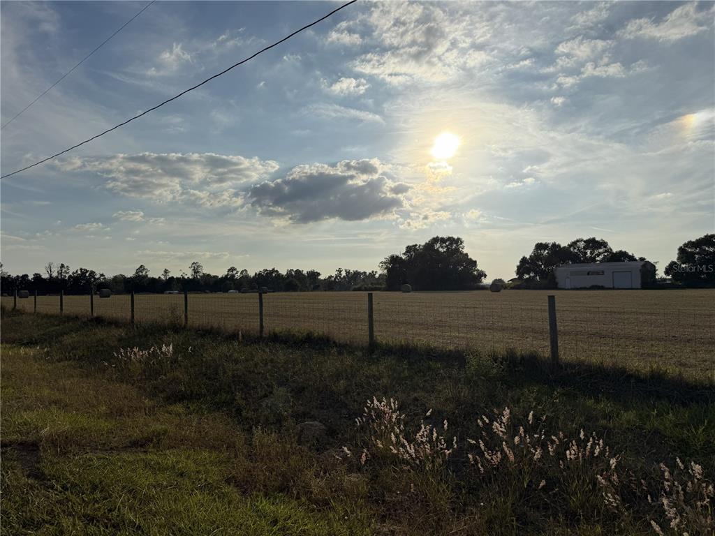 14950 Mim Place Dade City, FL 33525 - Photo 5 of 5 a view of a backyard of the house
