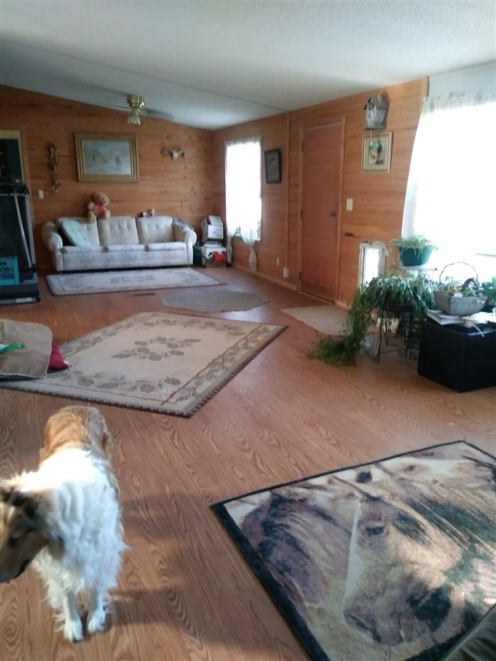 3101 Blair Road Whitewater, CO 81527 - Photo 7 of 25 Gallery Image 7
