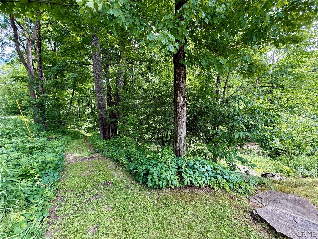 2168 River Road Camden, NY 13316 - Photo 12 of 24