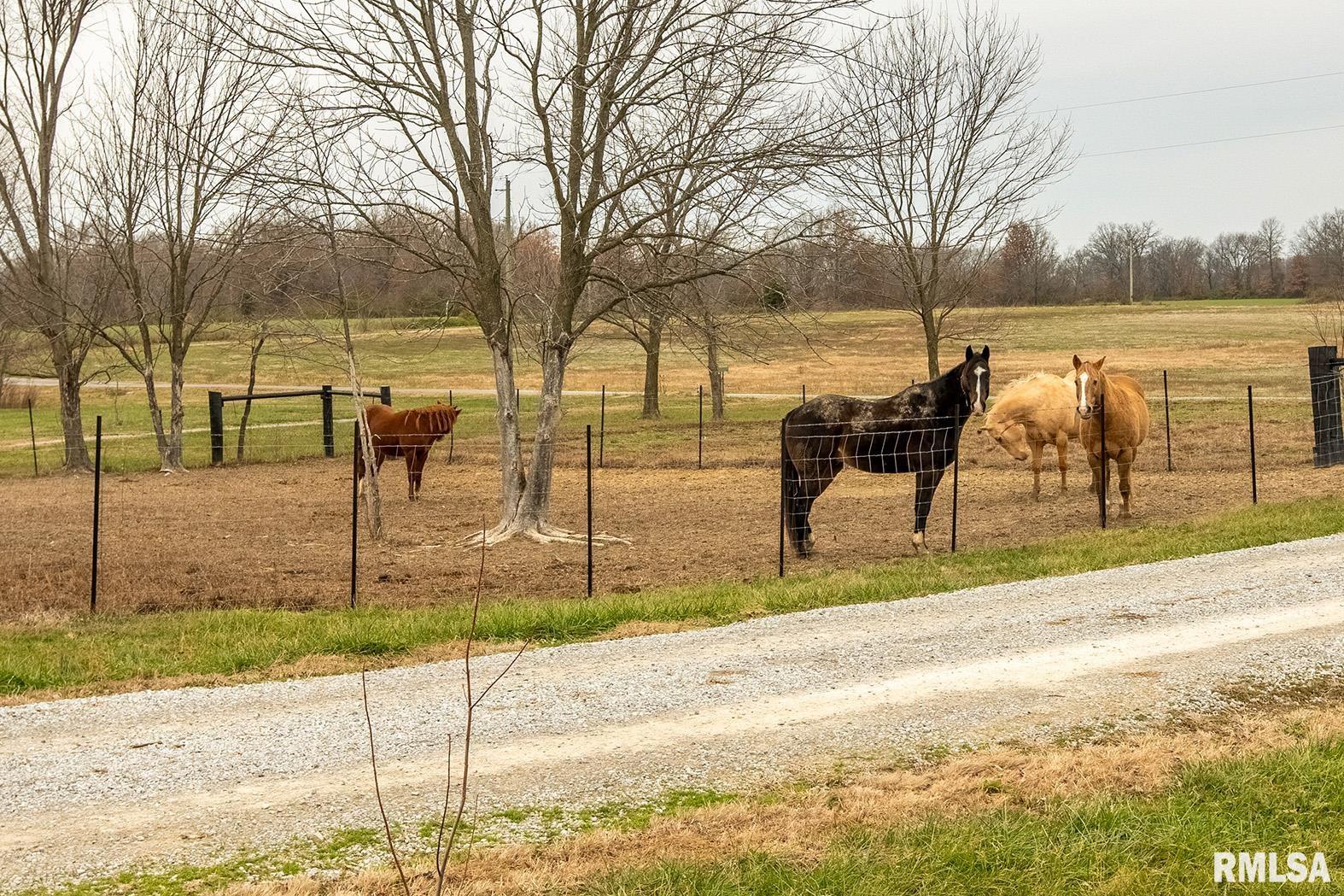3996 Belgium Road Mulkeytown, IL 62865 - Photo 13 of 49