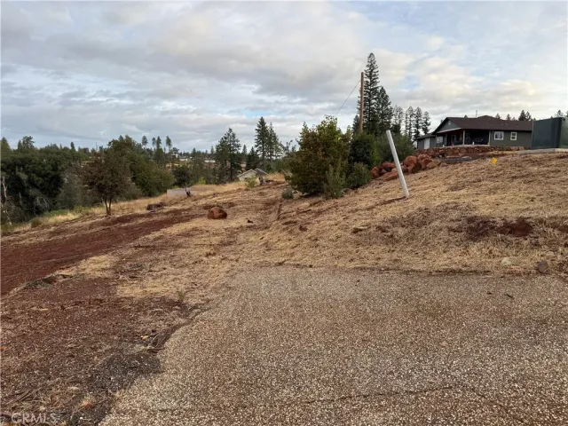 a view of a dry yard with trees