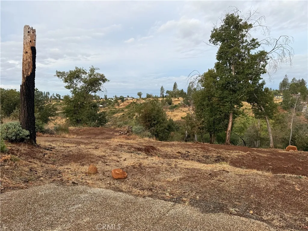2150 De Mille Road Paradise, CA 95969 - Photo 4 of 5 a view of a yard with trees