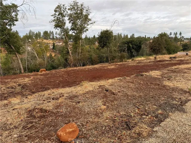 a view of a backyard of a house