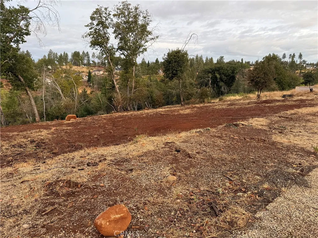 2150 De Mille Road Paradise, CA 95969 - Photo 5 of 5 a view of a backyard of a house