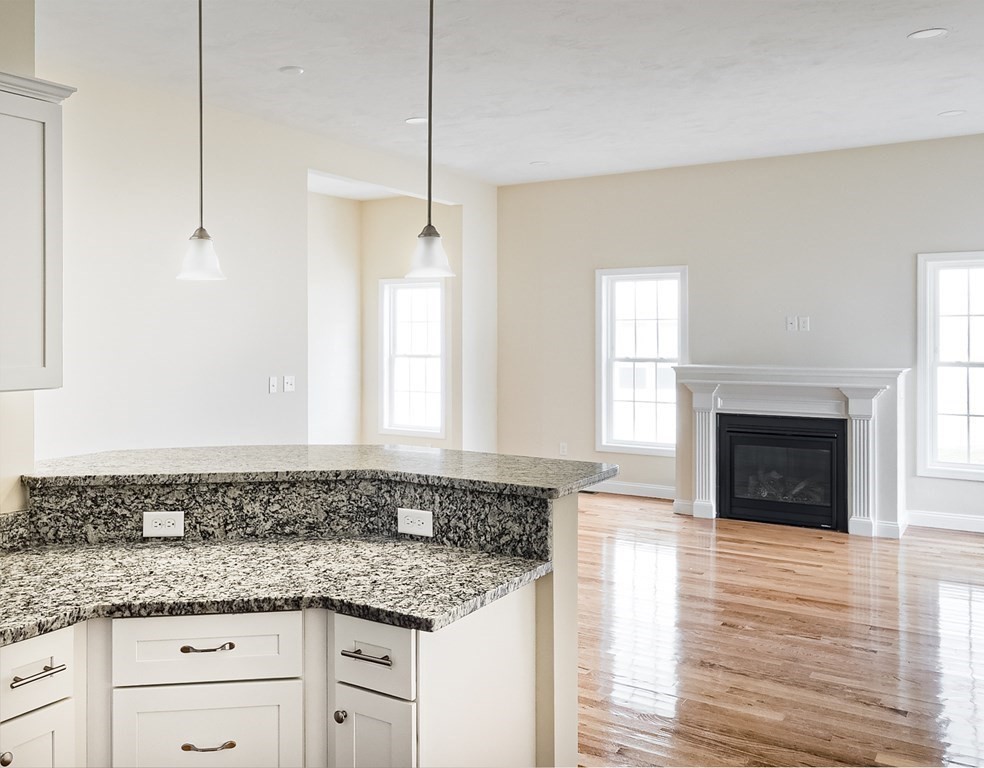 53 Tea Party Circle, Unit 53 Holden, MA 01520 - Photo 6 of 28