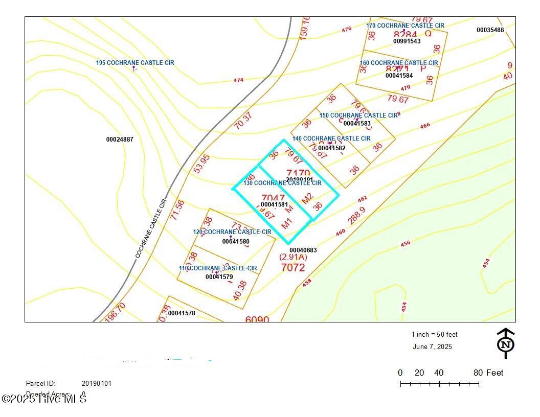 130 Cochran Castle Circle Pinehurst, NC 28374 - Photo 3 of 8 Lots M1, M2 - Cochrane Castle Circle