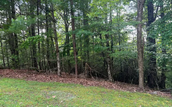 $45,000 | Lot 40 Double Knobs Drive, Hayesville, NC 28904
