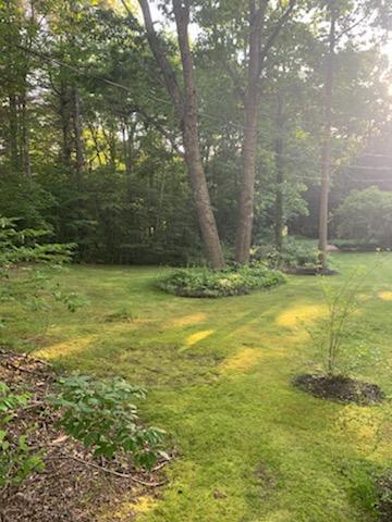 170 Carding Machine Road Bowdoinham, ME 04008 - Photo 47 of 54 IMG_1014(1)