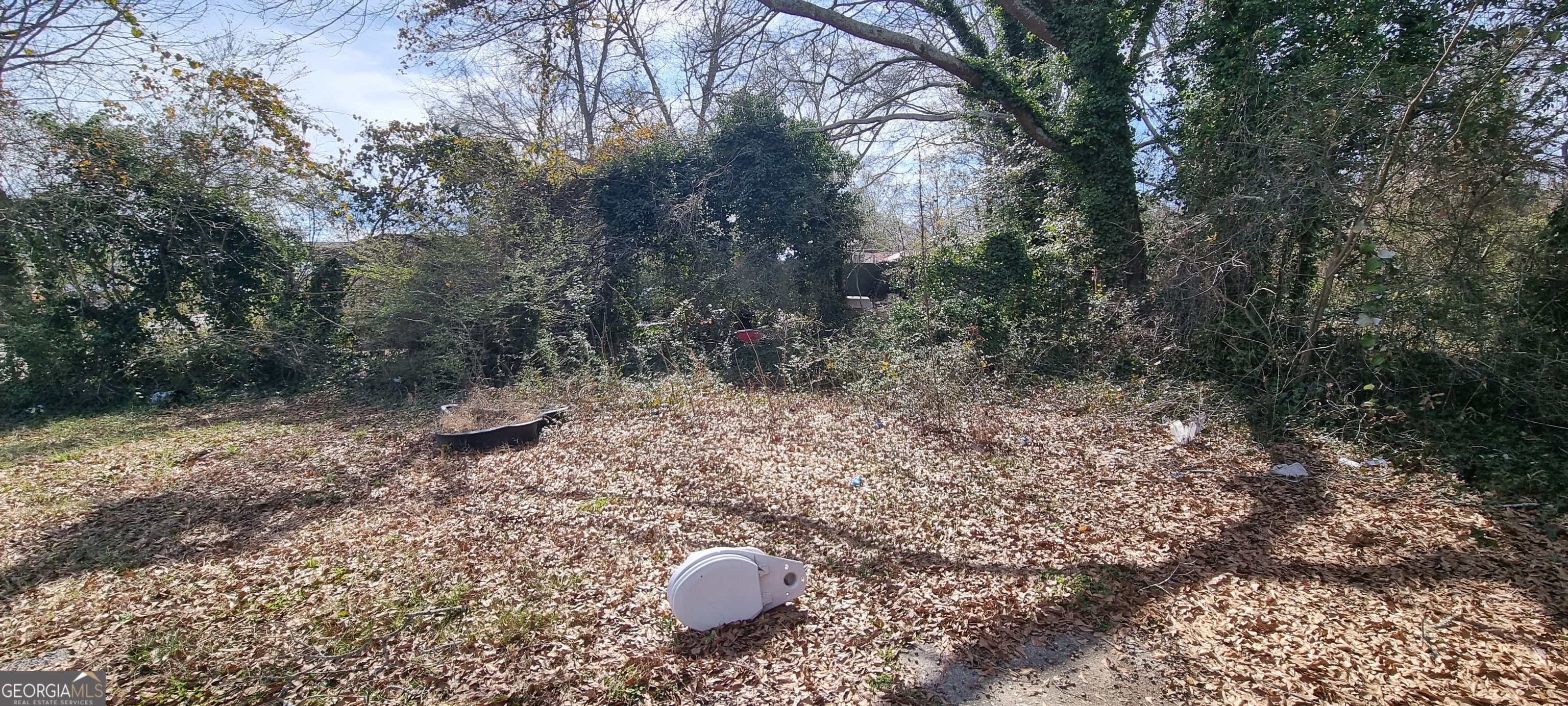 19 Landers Street Newnan, GA 30263 - Photo 38 of 40 a view of a dry yard with lots of green space