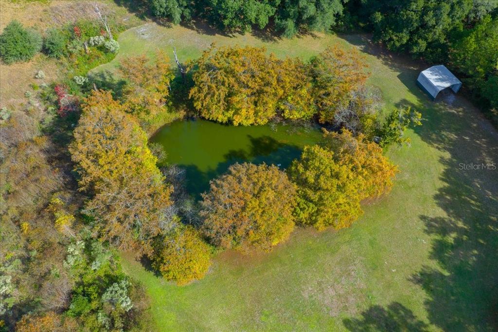 19189 Southwest 29th Street Dunnellon, FL 34432 - Photo 8 of 34 a view of lake view