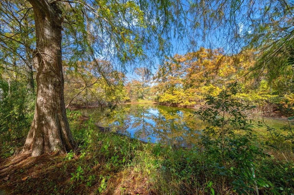 19189 Southwest 29th Street Dunnellon, FL 34432 - Photo 10 of 34 a view of under tree
