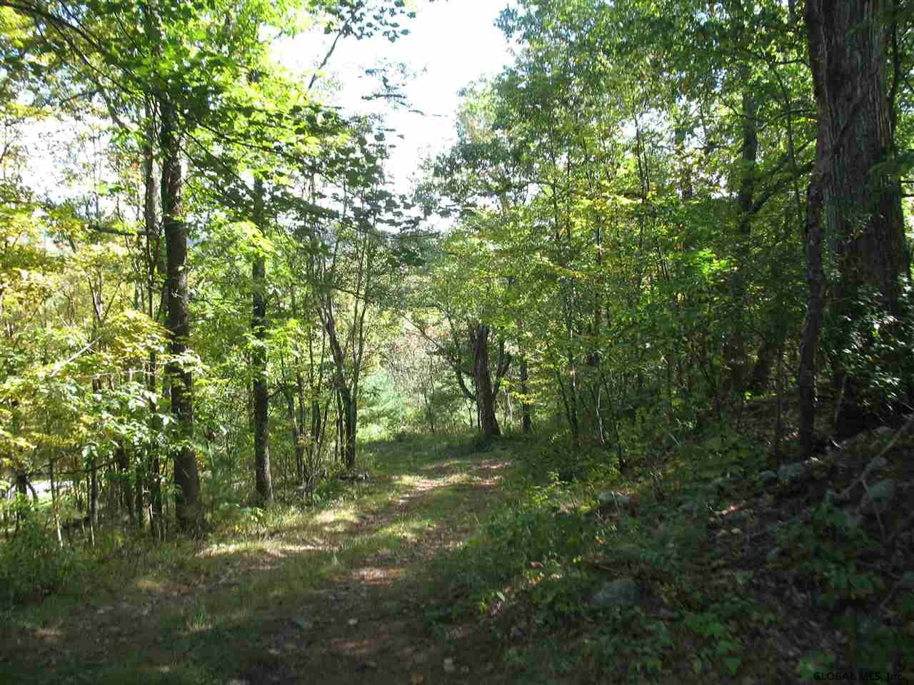 561 County Rte 49 Salem, NY 12865 - Photo 24 of 24 Photo 24