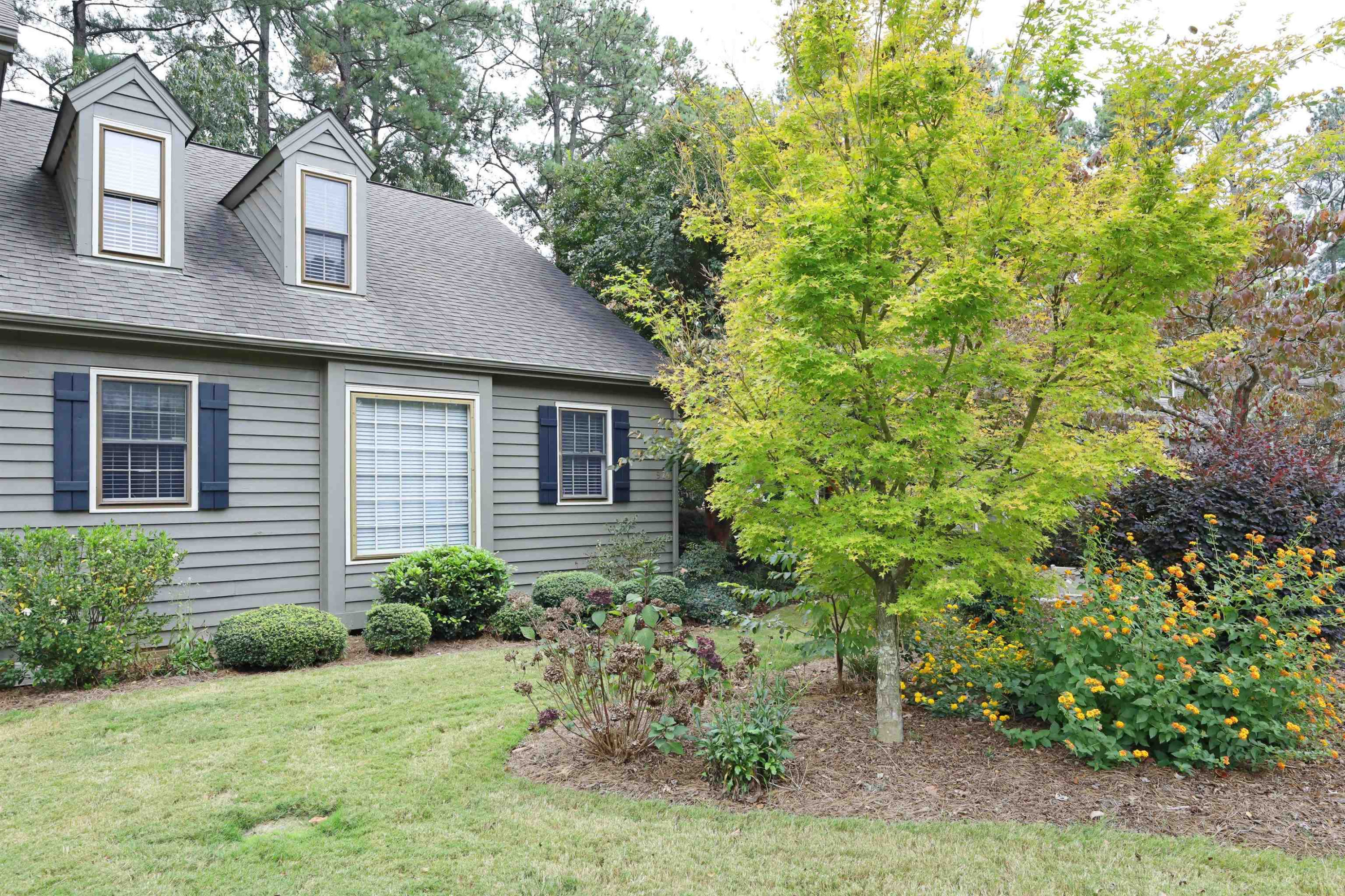 924 Albany Court Raleigh, NC 27615 - Photo 5 of 33 Photo 5