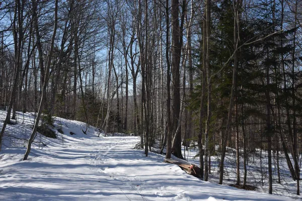 $150,000 | 397 Winch Hill Extension, Roxbury, VT 05663