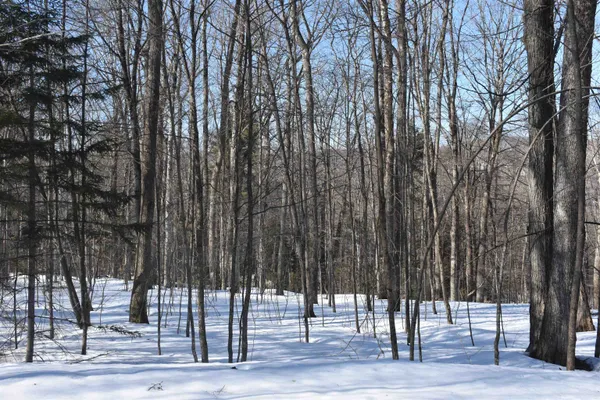 $150,000 | 397 Winch Hill Extension, Roxbury, VT 05663