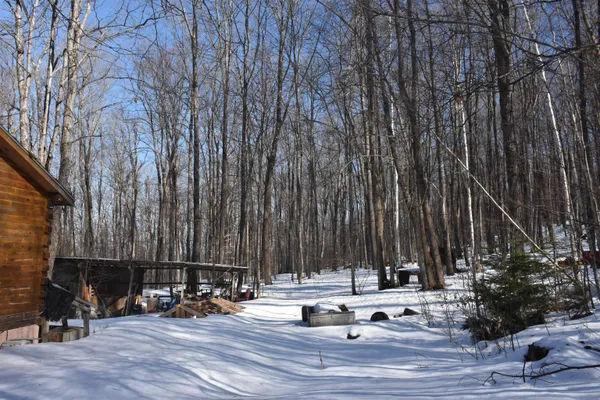 $150,000 | 397 Winch Hill Extension, Roxbury, VT 05663