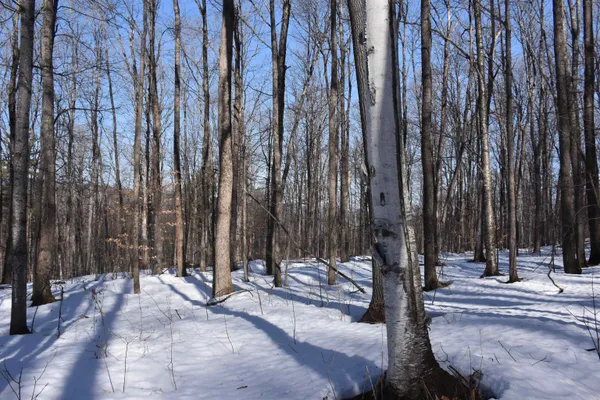 $150,000 | 397 Winch Hill Extension, Roxbury, VT 05663