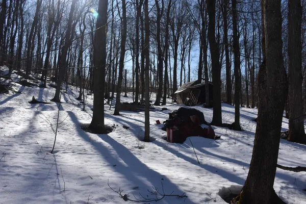 $150,000 | 397 Winch Hill Extension, Roxbury, VT 05663