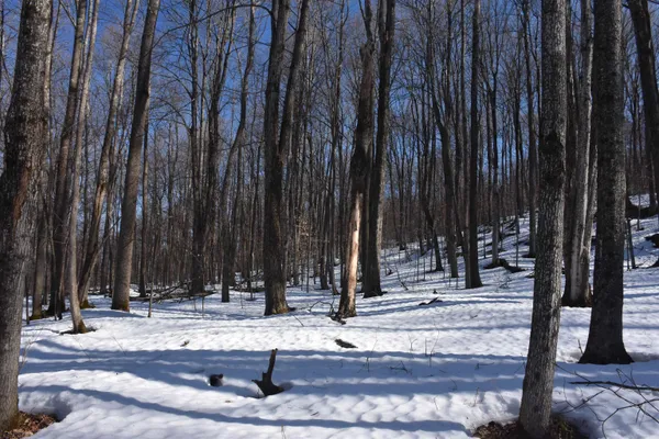 $150,000 | 397 Winch Hill Extension, Roxbury, VT 05663