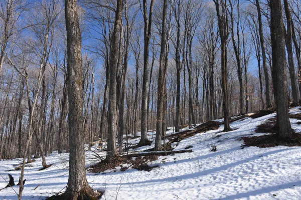 $150,000 | 397 Winch Hill Extension, Roxbury, VT 05663