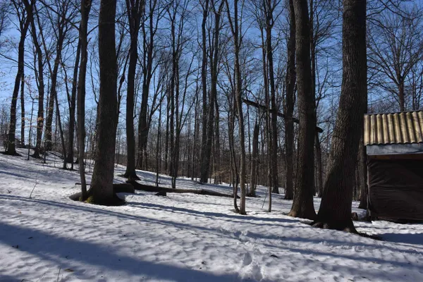 $150,000 | 397 Winch Hill Extension, Roxbury, VT 05663
